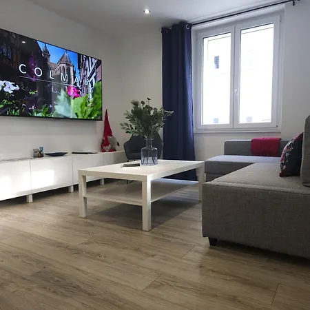 Daire Familial- T3 Luxe- Borne Ve- Recharging Station - 5min De La Gare- Colmar