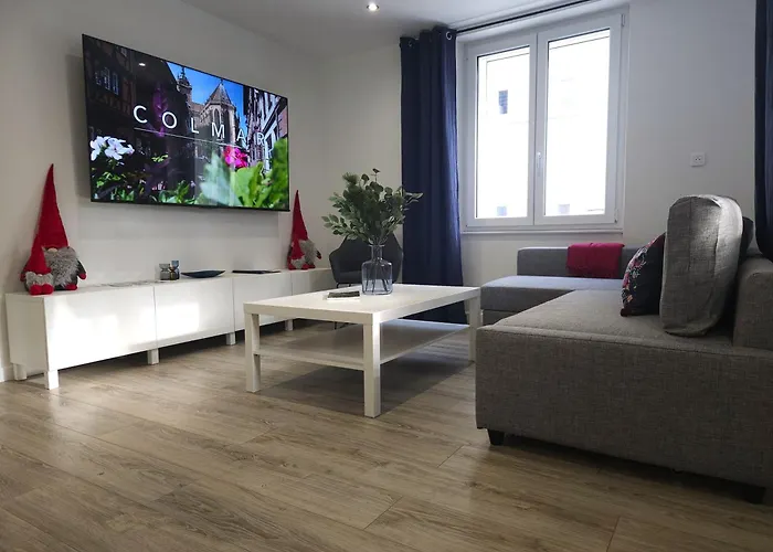 Daire Familial- T3 Luxe- Borne Ve- Recharging Station - 5min De La Gare- Colmar
